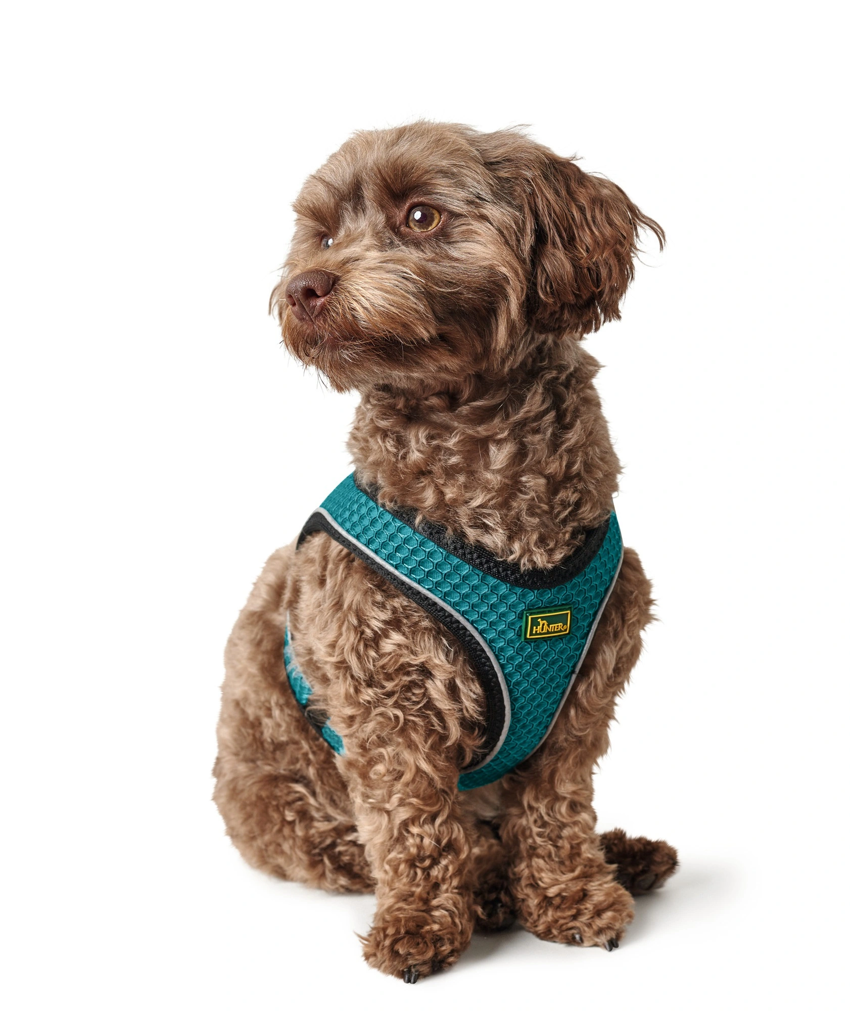 Hunter NY Hilo Comfort hundesele XXS turkis mave/bryst 31-33 cm - Ultralet komfort til små hunde